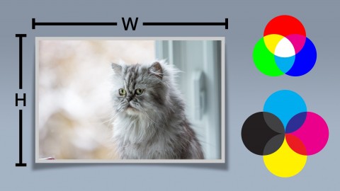 [Free] Understanding Images - Coupon Scorpion