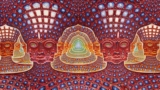 1000 Lessons from the Psychedelic Flavors of Consciousness