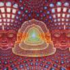 1000 Lessons from the Psychedelic Flavors of Consciousness