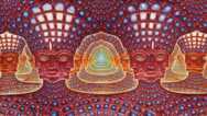 1000 Lessons from the Psychedelic Flavors of Consciousness