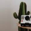 14 Day Instasales Challenge For Shopify Merchants