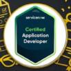 1500 Questions | Certified Application Developer 2026