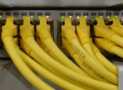 350-401 ENCOR CCNP Enterprise 5 Practice Test 2026 (498+ QA)