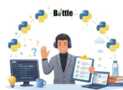 350+ Python Bottle Interview Questions with Answers 2026