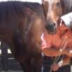 4 Secrets to Unlocking the Power of Connection with Horses