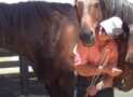 4 Secrets to Unlocking the Power of Connection with Horses