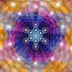 7 Best Practices to Activating Psychosomatic Healing