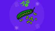A Beginner’s Guide to Mendelian Genetics
