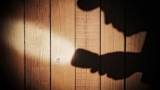 A Brief Overview Of Insurance Investigation