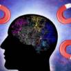 Activate The Law Of Attraction In Your Life