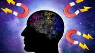 Activate The Law Of Attraction In Your Life