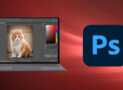 Adobe Photoshop CC For Absolute Beginner to Advanced