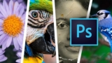 Adobe Photoshop Para Principiantes – Segunda Parte