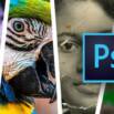 Adobe Photoshop Para Principiantes – Segunda Parte