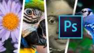 Adobe Photoshop Para Principiantes – Segunda Parte