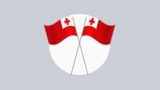 Advanced Tongan Language
