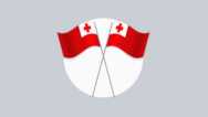 Advanced Tongan Language