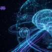 AI Prompt Engineering: ChatGPT, Claude & Claude Code 2026