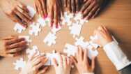 Align Culture & Values To Move Beyond Diversity & Inclusion