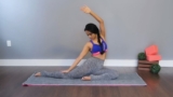 All-in-one Pregnancy Guide