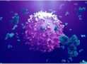 Antigens: The Structure, Function, and Immune Response