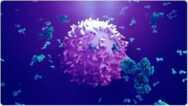Antigens: The Structure, Function, and Immune Response