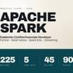 Apache Spark Developer Associate: 5 Practice Exams