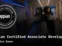 Appian Certified Associate Developer Practice Exams