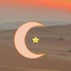 Arabic Language Course: Learn Arabic/speak Arabic Like Arabs