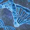ASCP MB Practice Exam Review