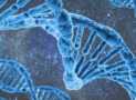 ASCP MB Practice Exam Review