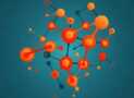 Associate Professional Risk Manager APRM Certificate