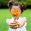 Attitudes of Gratitude