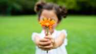 Attitudes of Gratitude