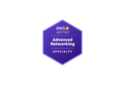 AWS Advanced Networking Specialty ANS-C01 Practice Exam