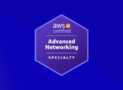 AWS Advanced Networking Specialty ANS-C01 Practice Test 2026