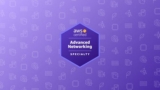 AWS Certified Advanced Networking Specialty Practice Exams