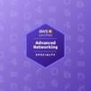 AWS Certified Advanced Networking Specialty Practice Exams