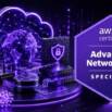 AWS Certified Advanced Networking Specialty Practice Tests