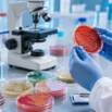 Bacteriology Lab Skills for Medical Students