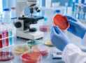Bacteriology Lab Skills for Medical Students