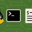 Bash command fundamentals for beginners