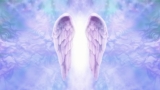 Basic Angel Connection Course