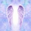 Basic Angel Connection Course