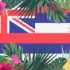 Basic Hawaiian Grammar