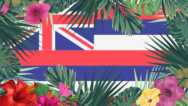Basic Hawaiian Grammar
