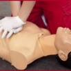 Basic Life Support (BLS)