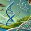 Basics of CRISPR/Cas System
