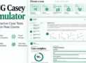 BCG Casey Chatbot: Practice Tests for Consulting Assessment