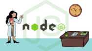 Become A Certified Node JS Developer: Practice Tests
